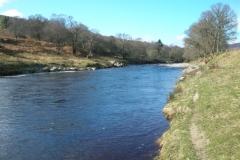 Washerwoman