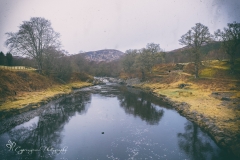 The Morail